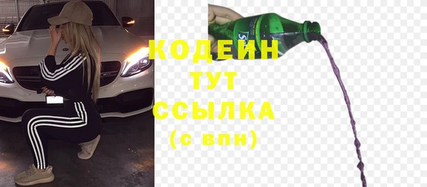 твердый Бородино