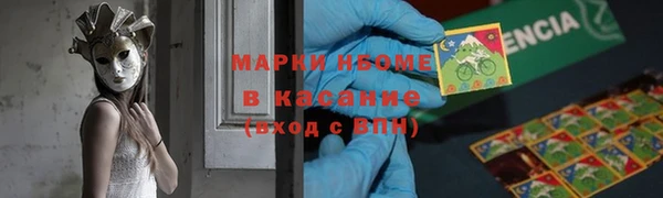 твердый Бородино