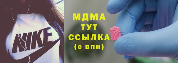 твердый Бородино